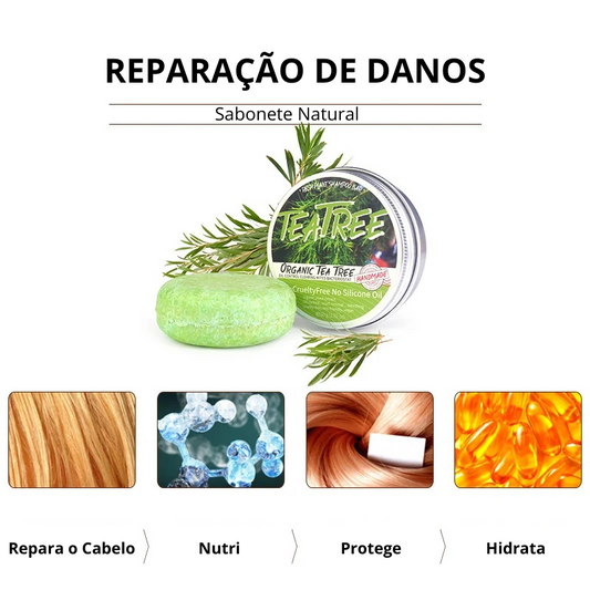Shampoo artesanal em barra da TeaTree