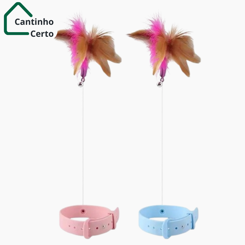 Laço Interativo para Gatos